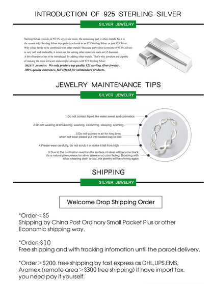 925 Sterling Silver Earrings For Women Trendy Simple Shinning Gold Earring Jewelry Prevent Allergy Party Christmas Accessories